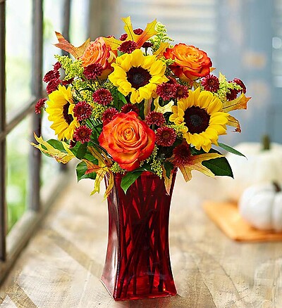 Autumn Sophistication™
